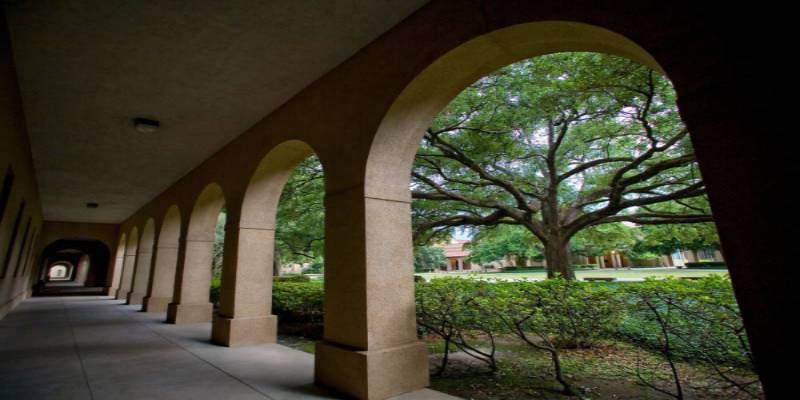 arches in the quad