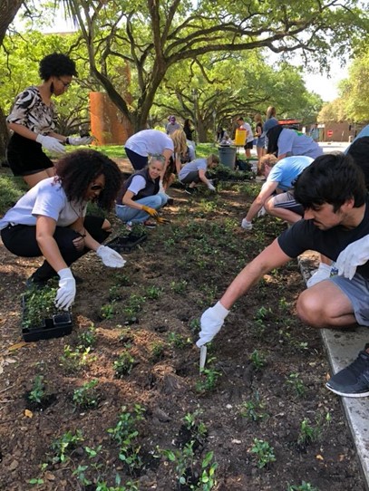 students planting